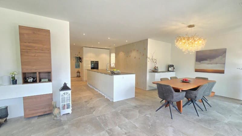 Panorama-Terrassenwohnung (6)