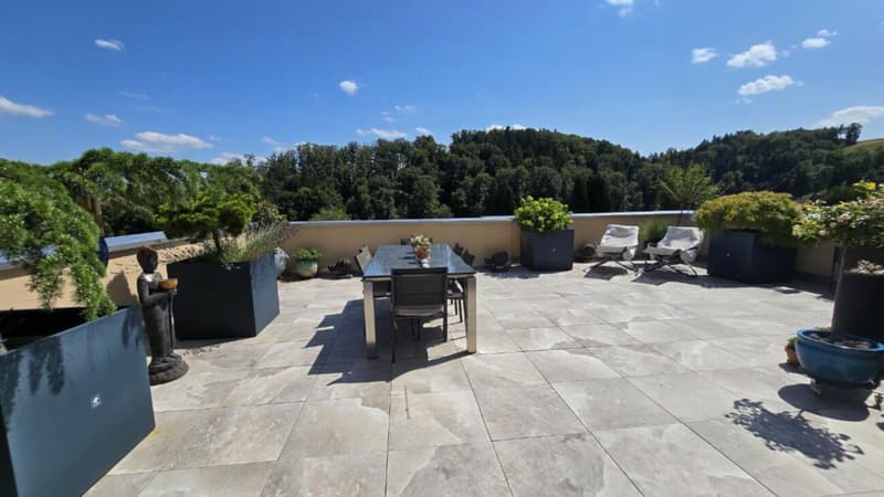 Panorama-Terrassenwohnung (3)