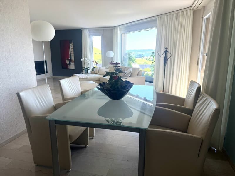 3.5 room terrace house in a quiet, sunny location with unobstructable views of Lake Zurich and the Alps (4)