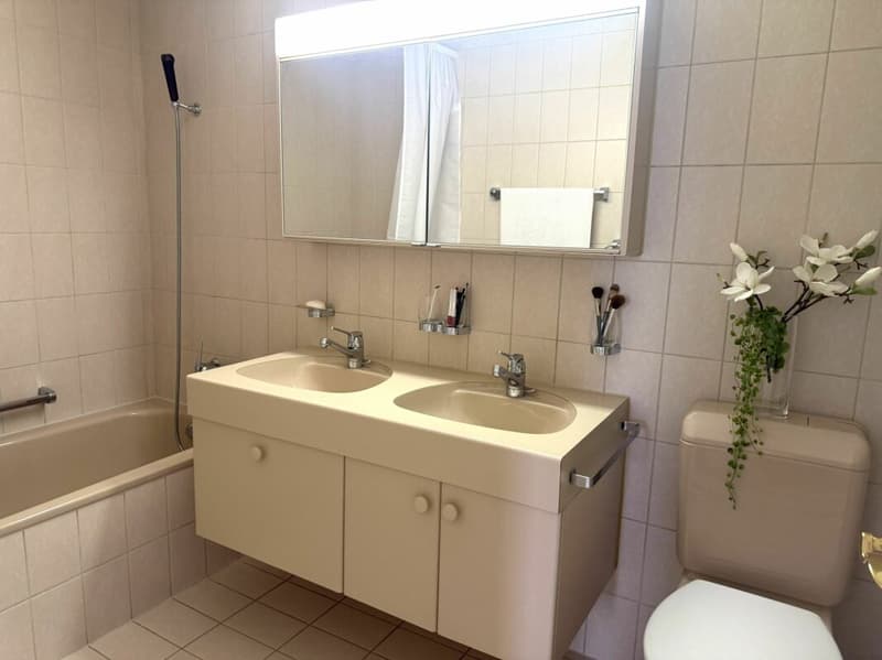 3.5 room terrace house in a quiet, sunny location with unobstructable views of Lake Zurich and the Alps (9)