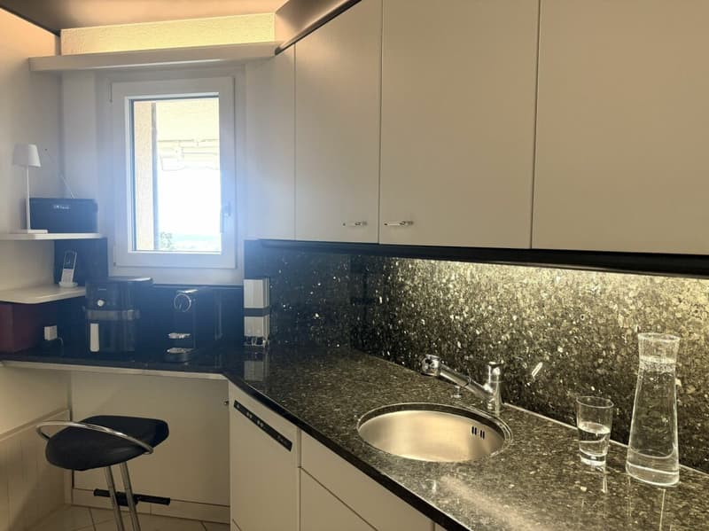 3.5 room terrace house in a quiet, sunny location with unobstructable views of Lake Zurich and the Alps (6)