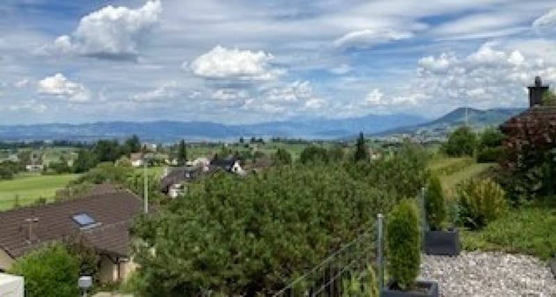 3.5 room terrace house in a quiet, sunny location with unobstructable views of Lake Zurich and the Alps (14)