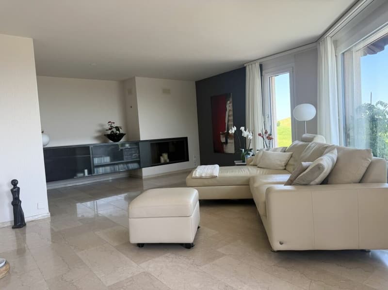 3.5 room terrace house in a quiet, sunny location with unobstructable views of Lake Zurich and the Alps (1)