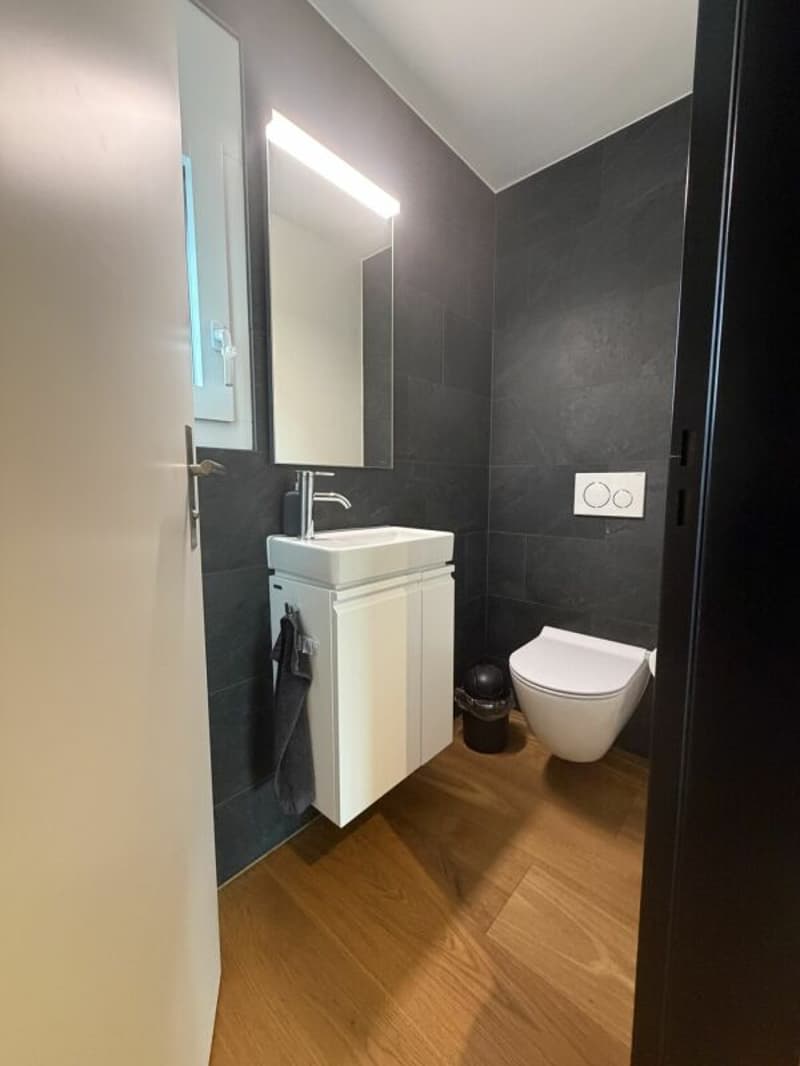 Appartement 2.5 pièces élégant à Hölstein - de haute qualité, calme et prêt à être occupé (13)