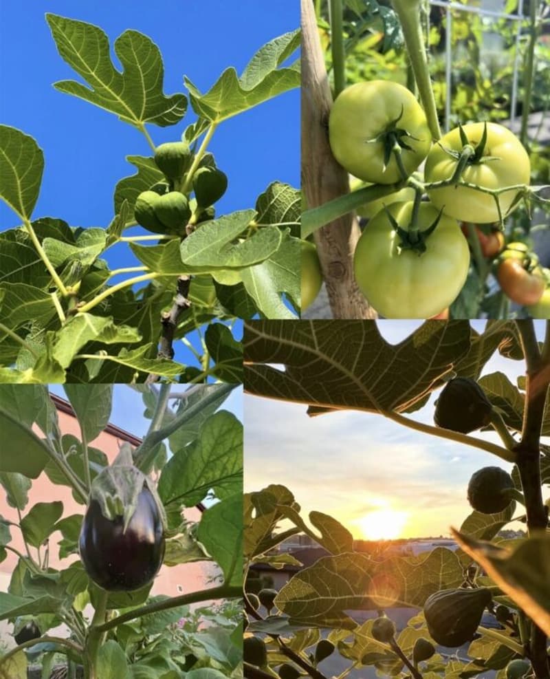 Ihr sonniges Familienparadies - Gartenoase - privatsphäre - Stadtnah, wo Wein wächst, Kinder lachen und Abende golden sind. (13)