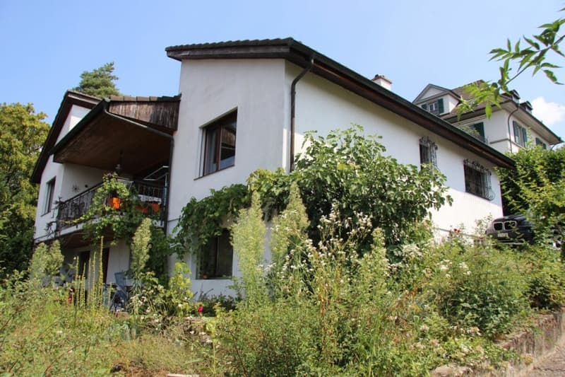 8-1/2-Zimmer Einfamilienhaus mit unverbaubarer SW-Aussicht - Nähe ÖV und Schulen in Dornach (3)