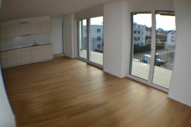 Vermietung Wohnung Duplex-/Maisonette-Wohnung 9320 Arbon (5)