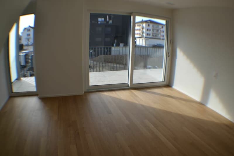Vermietung Wohnung Duplex-/Maisonette-Wohnung 9320 Arbon (15)