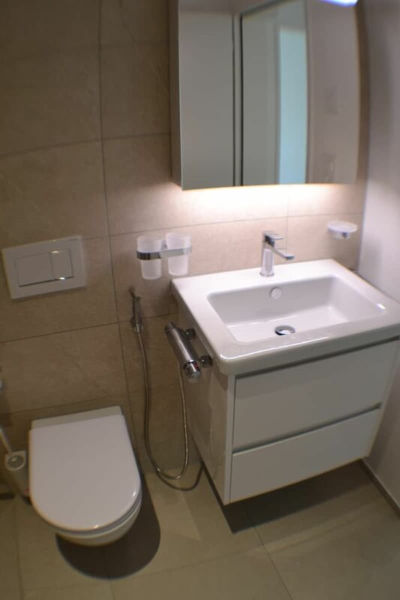 Vermietung Wohnung Duplex-/Maisonette-Wohnung 9320 Arbon (9)