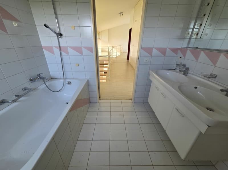 Freistehendes grosszügiges Einfamilienhaus (7)