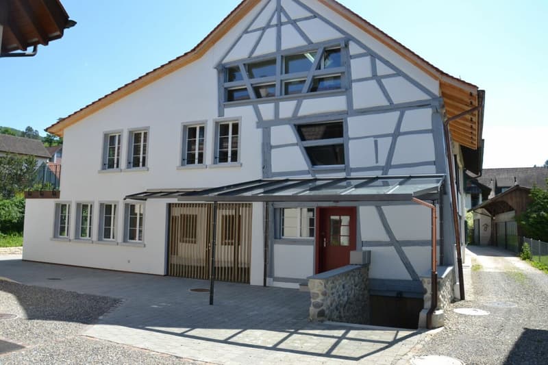 3-Generationen-Haus, 7-Zi.+2-Zi.+Garten. Edel, modern, chic restauriert, sehr hell, alles bio - oder: 7-Zi.-Wohnung und 2 Zi.-Büro/Au-pair-Wohnung (1)