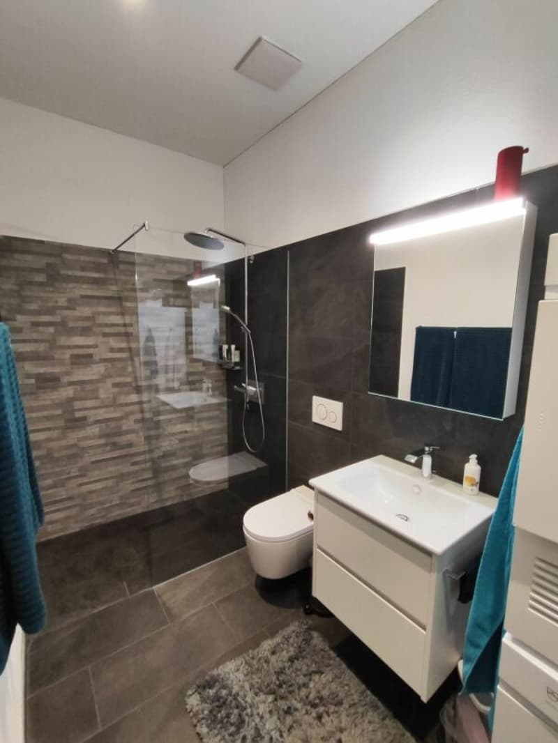 Moderne 4.5 Zimmer Wohnung in Ossingen (10)