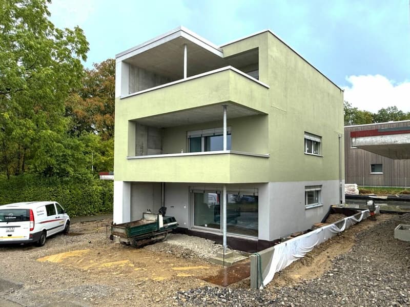 Exklusives 6.5-Zimmer-Einfamilienhaus Minergie-P-Qualität in Seengen (1)