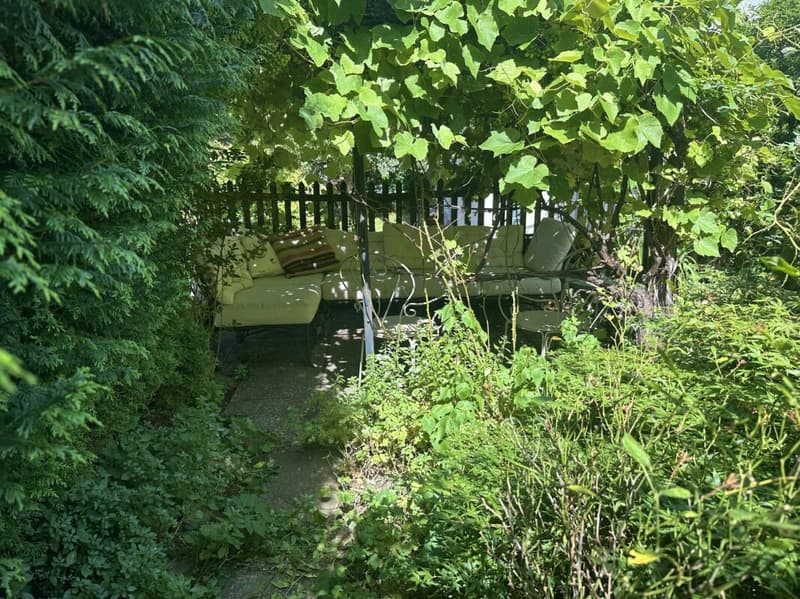 Tessiner Haus auf dem Hügel Artore in Bellinzona renoviert, mit Atelier und Garten (15)