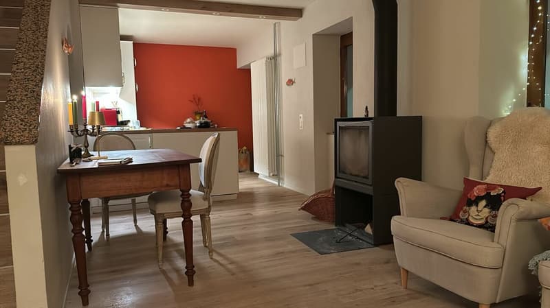 Tessiner Haus auf dem Hügel Artore in Bellinzona renoviert, mit Atelier und Garten (4)