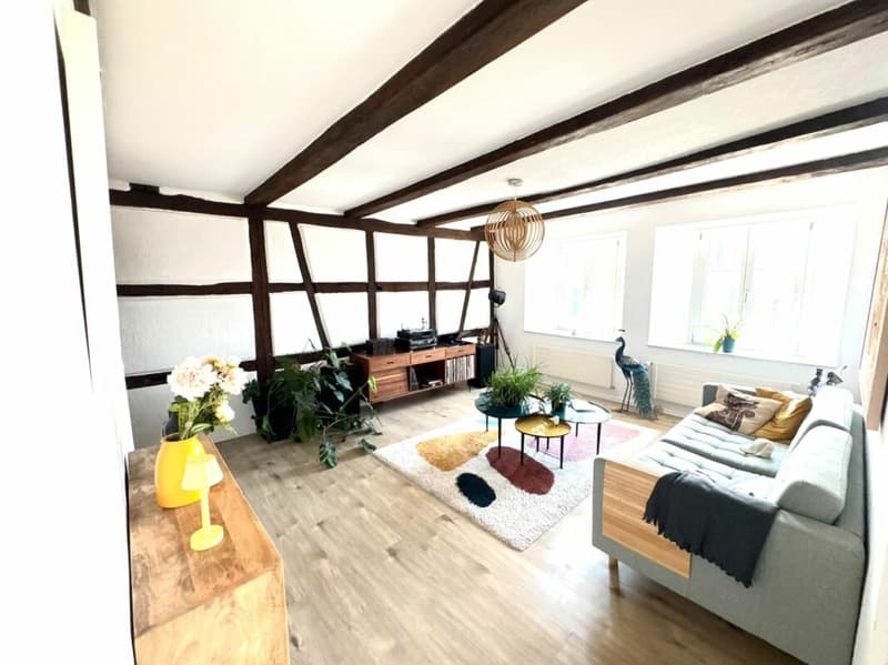 Renovierte 4.5-Zimmer-Wohnung mit Eigengarten und Wintergarten (2)