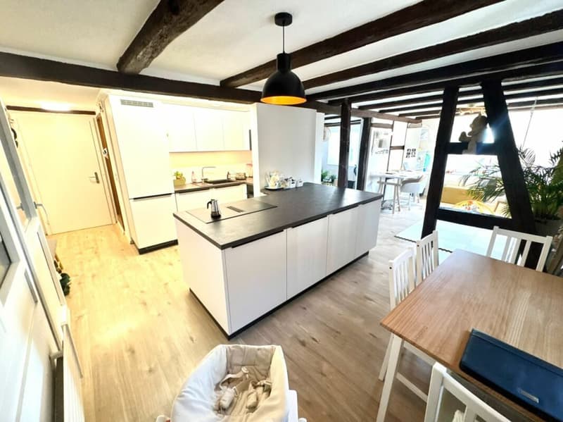 Renovierte 4.5-Zimmer-Wohnung mit Eigengarten und Wintergarten (3)