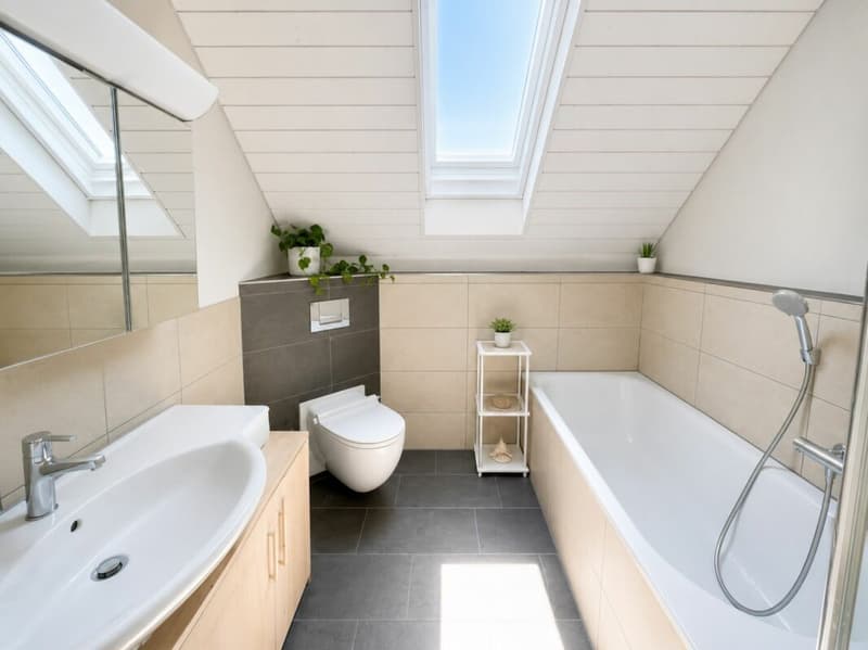 5½-Zimmer-Einfamilienhaus (9)