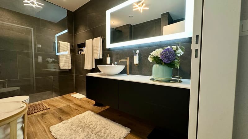 Stilvolle 4.5-Zimmer-Attikawohnung, mit 74 m² Panorama-Dachterrasse (5)