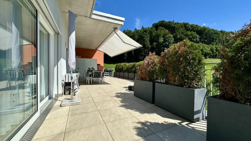 Stilvolle 4.5-Zimmer-Attikawohnung, mit 74 m² Panorama-Dachterrasse (1)