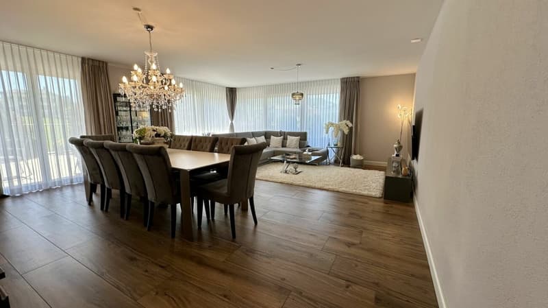 Stilvolle 4.5-Zimmer-Attikawohnung, mit 74 m² Panorama-Dachterrasse (3)