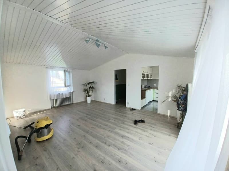 Haus mit Potenzial (9)