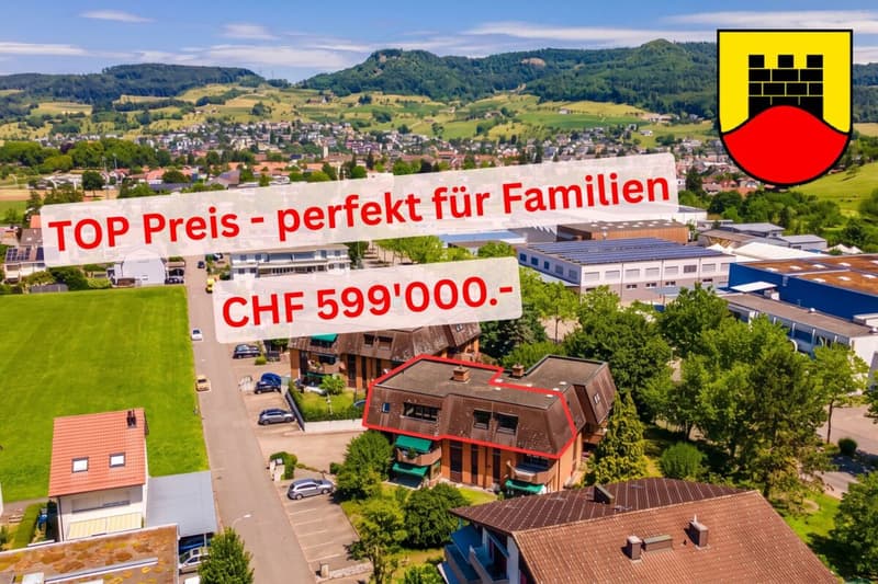 TOP Preis - sehr grosse Wohnung direkt an der Grenze zu Sissach (1)