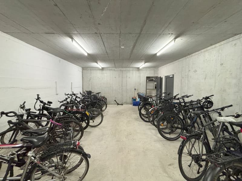 3-Zimmer Wohnung mitten im Breitenrain (14)