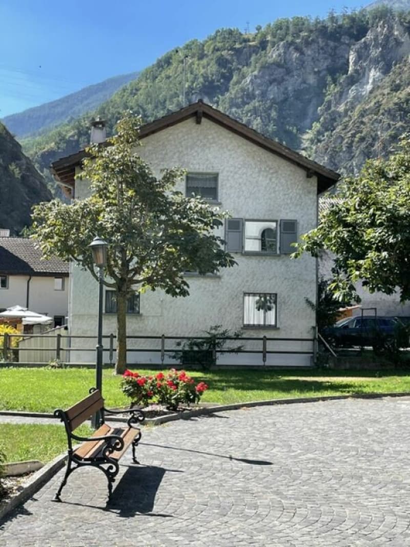 Freistehendes Einfamilienhaus im Zentrum mit Garten und Waldstück (2)