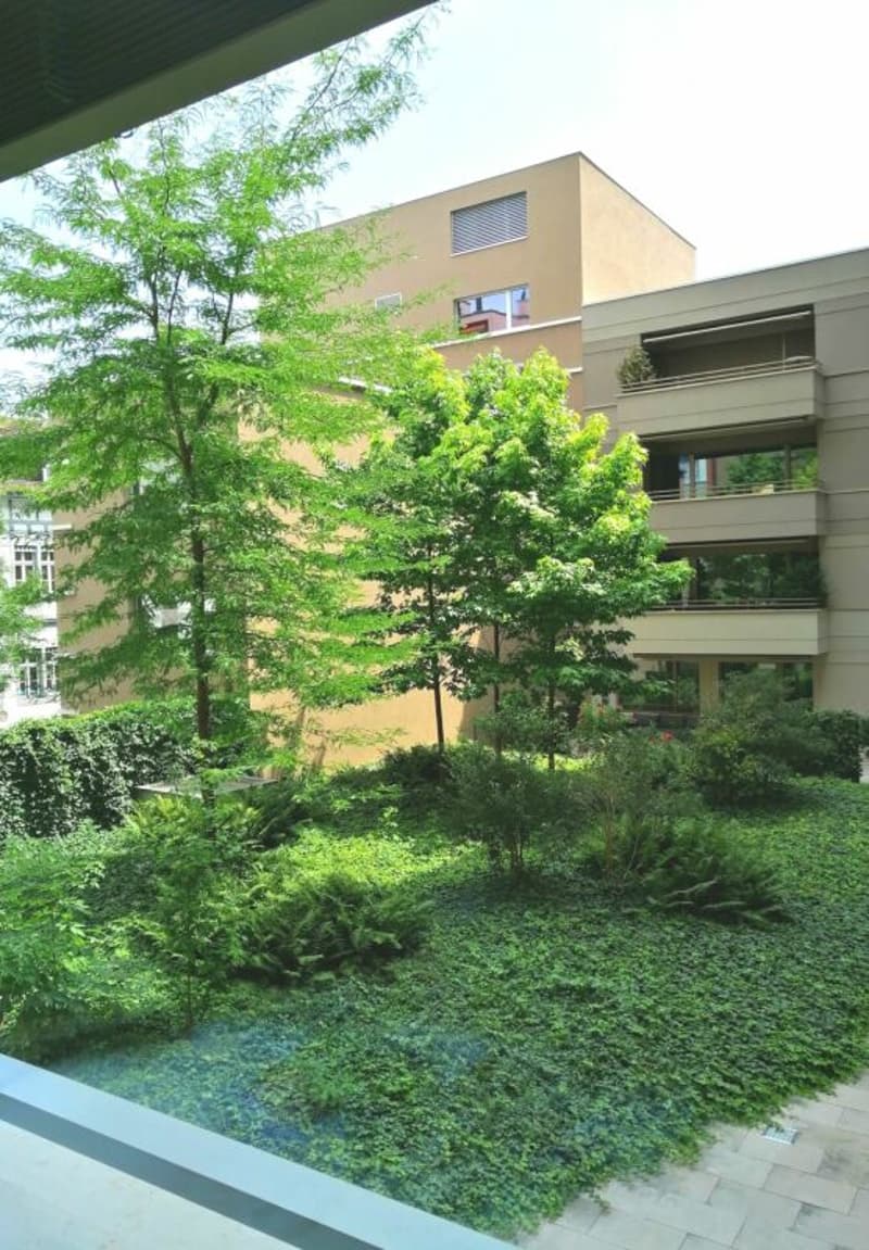 Luxuriöse 3,5 Zi. Whg. near Kunstmuseum Basel. (7)