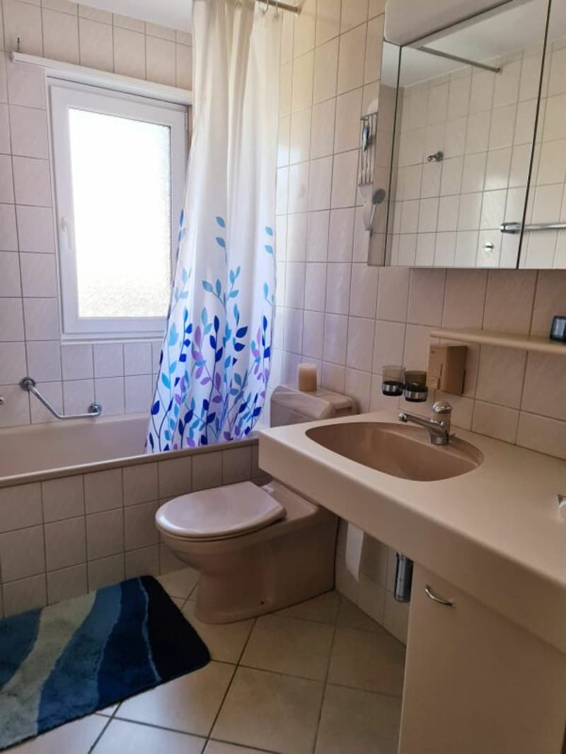 "Charmantes 6-Zi-EFH mit wunderschönem Wintergarten und einer zusätzlichen 2-Zi-Einliegerwohnung" (11)
