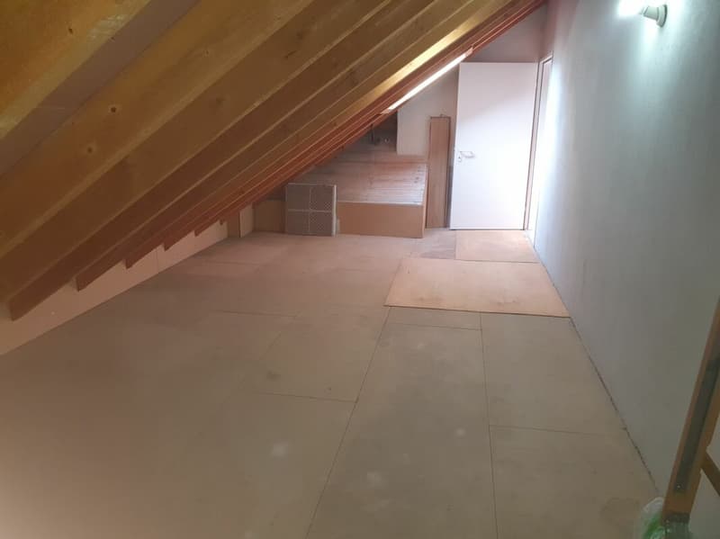 Platzwunder 4 1/2 plus 1 Zimmer 17m2 mit sep. Eingang (10)