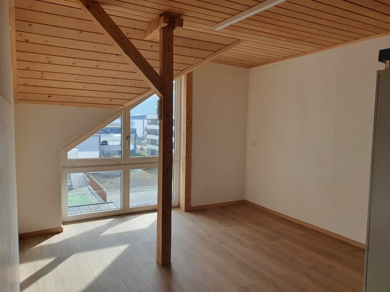 Platzwunder 4 1/2 plus 1 Zimmer 17m2 mit sep. Eingang (8)
