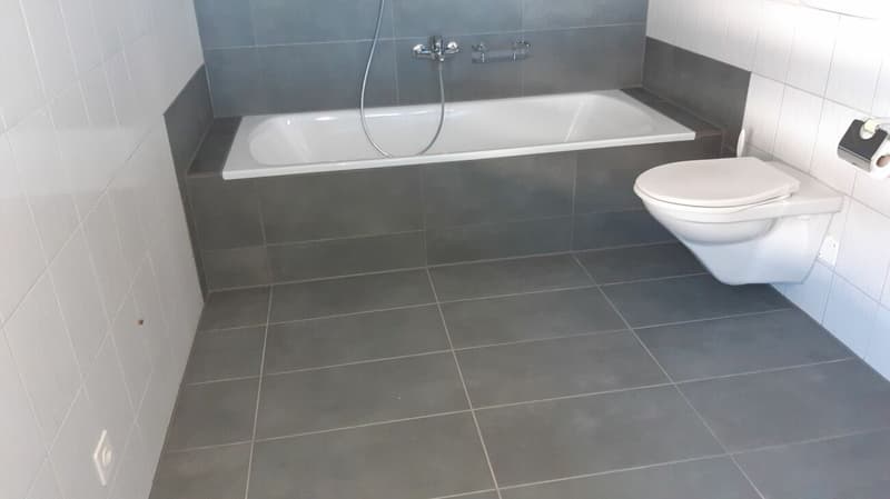Platzwunder 4 1/2 plus 1 Zimmer 17m2 mit sep. Eingang (5)