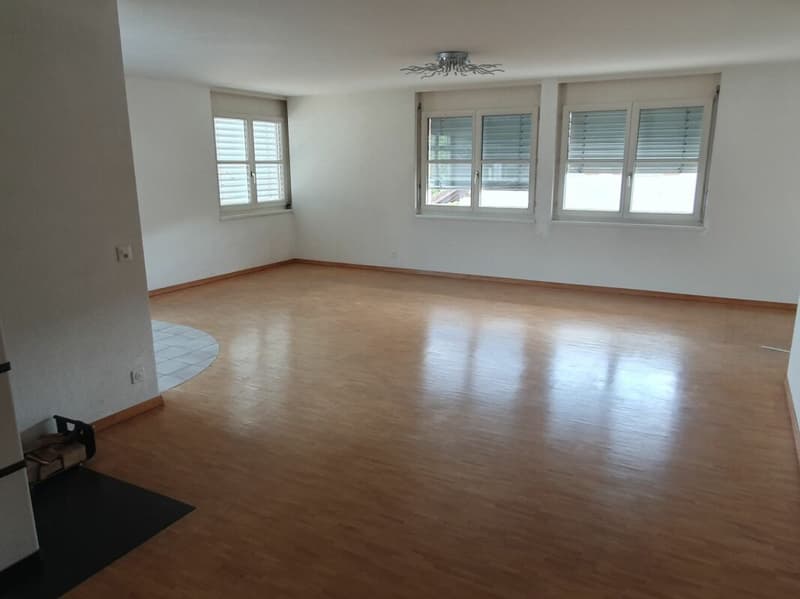 Platzwunder 4 1/2 plus 1 Zimmer 17m2 mit sep. Eingang (1)