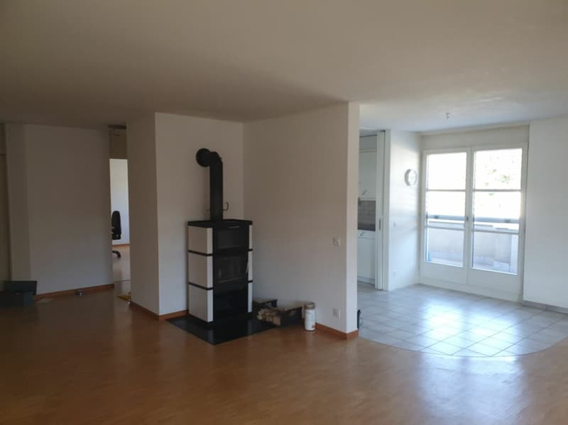Platzwunder 4 1/2 plus 1 Zimmer 17m2 mit sep. Eingang (2)