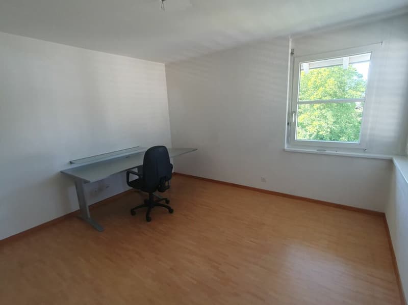 Platzwunder 4 1/2 plus 1 Zimmer 17m2 mit sep. Eingang (7)