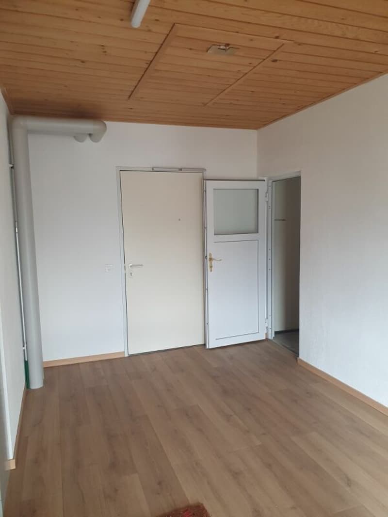 Platzwunder 4 1/2 plus 1 Zimmer 17m2 mit sep. Eingang (11)