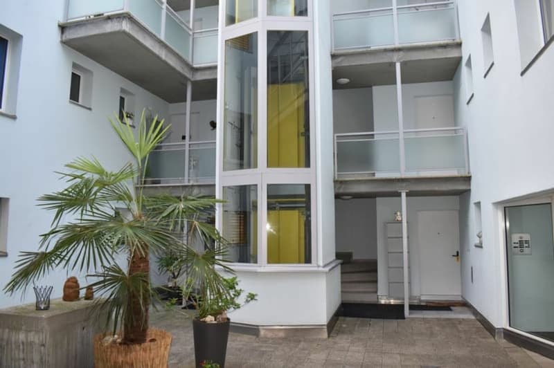4.5-Zimmer-Wohnung wie neu - komplett renoviert (9)