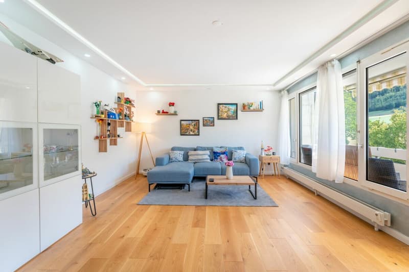 Ideal für Singles, Paare & Pendler - Schön renovierte 3.5 Zimmer Wohnung (3)