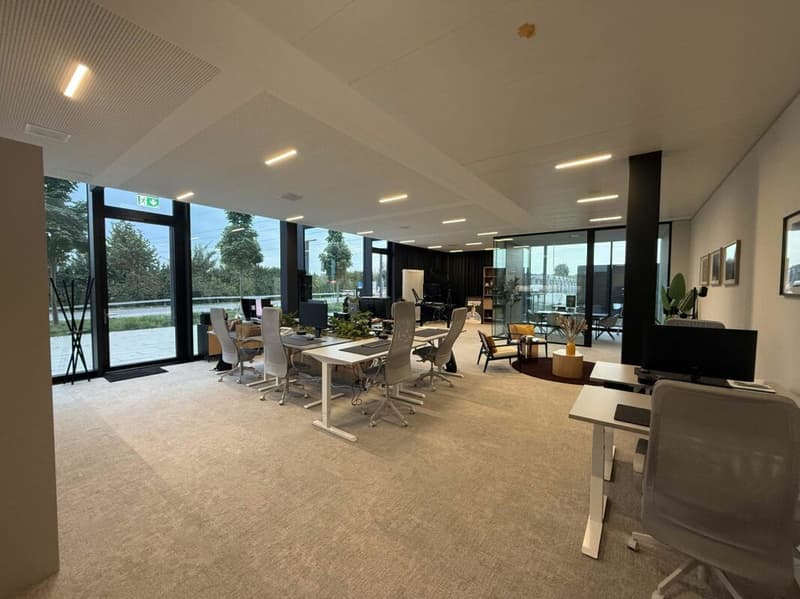 116 m² Büro mit eigener Teeküche und zwei Tiefgaragenplätzen in Rotkreuz (3)