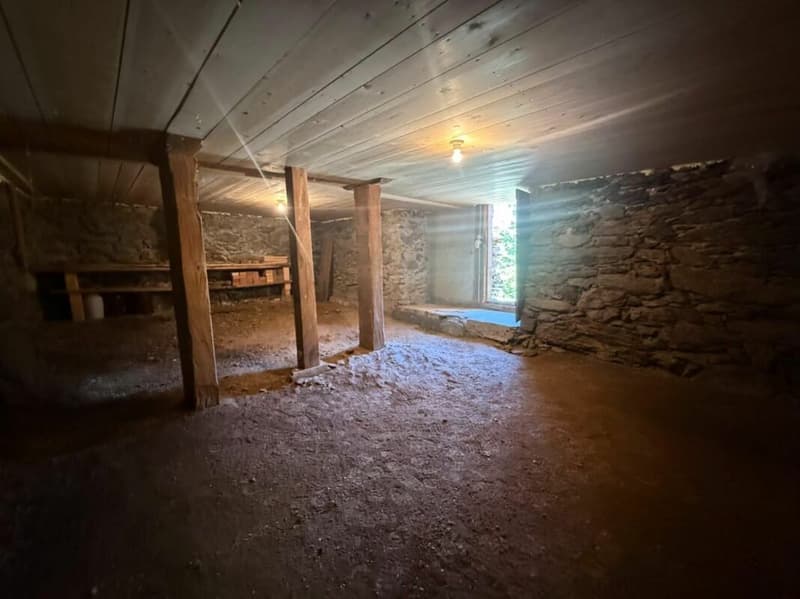 Einmalige Gelegenheit in Lauterbrunnen - Landwirtschaftliche Liegenschaft mit Wohnhaus, Scheune und drei weiteren Grundstücken (10)