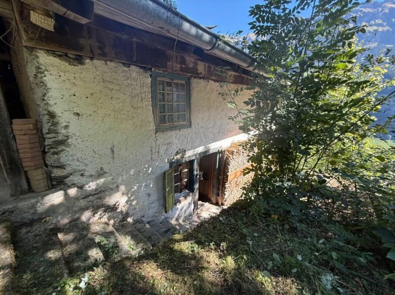 Einmalige Gelegenheit in Lauterbrunnen - Landwirtschaftliche Liegenschaft mit Wohnhaus, Scheune und drei weiteren Grundstücken (4)