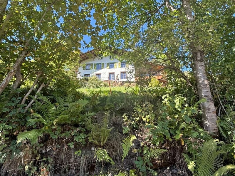 Einmalige Gelegenheit in Lauterbrunnen - Landwirtschaftliche Liegenschaft mit Wohnhaus, Scheune und drei weiteren Grundstücken (2)