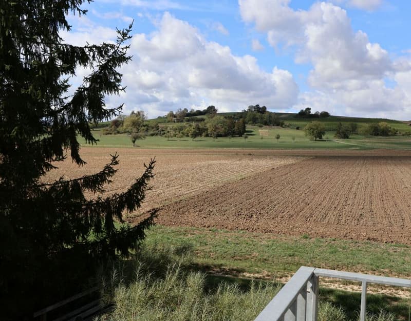 Attracktive 2.5-Zimmer-Wohnung mit Weitblick in die Weinreben (13)