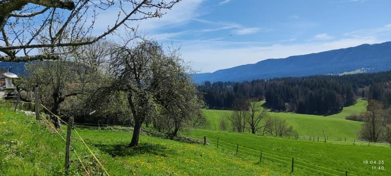 Charmantes Jurahaus mit drei Wohnungen, Ausbaupotenzial und Baulandreserve (4)