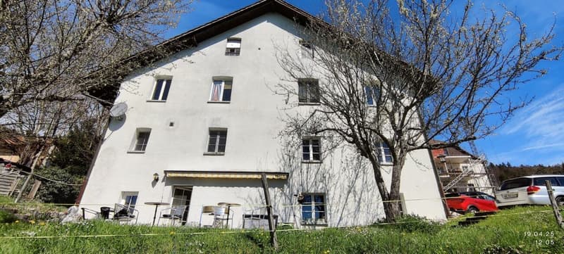 Charmantes Jurahaus mit drei Wohnungen, Ausbaupotenzial und Baulandreserve (1)