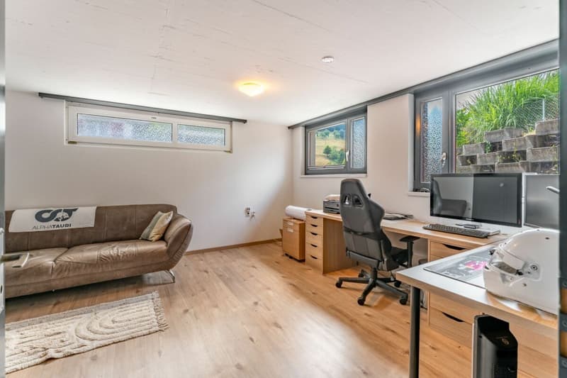 Grosses Haus | renoviert | viel Garten | 3 Garagenboxen | Büro | Werkstatt | Partyraum | 66 m² Dachstock im Edelrohbau | Einlegerwohnung möglich (10)
