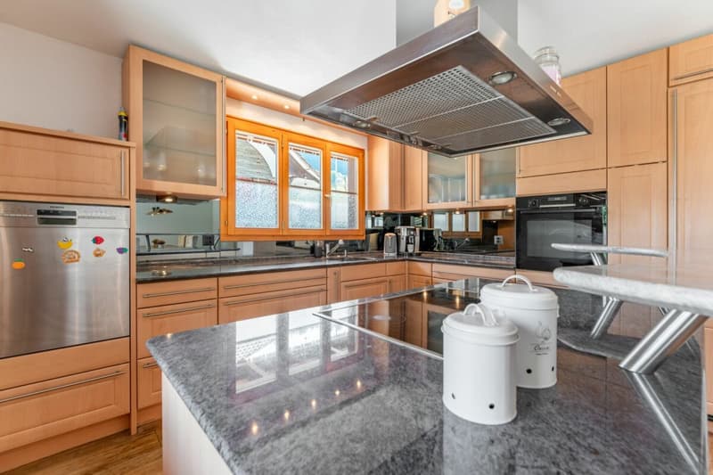 Grosses Haus | renoviert | viel Garten | 3 Garagenboxen | Büro | Werkstatt | Partyraum | 66 m² Dachstock im Edelrohbau | Einlegerwohnung möglich (4)
