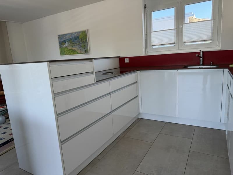 5.5-Zimmer Attika-Wohnung im Zentrum und doch an ruhiger Lage und mit viel Privatsphäre 126 m2 Nettowohnfläche, mehr als 100 m2 Terrasse (5)
